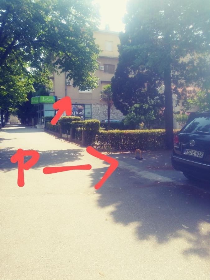 Big Tree Apartment & The Nest Apartment - Free Parking 莫斯塔尔 外观 照片